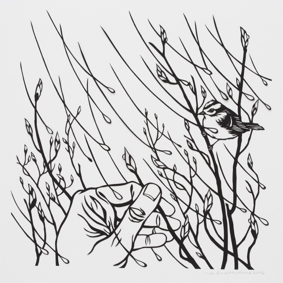 Nikki McClure 389A0306_1 Nikki McClure 389A0306_1